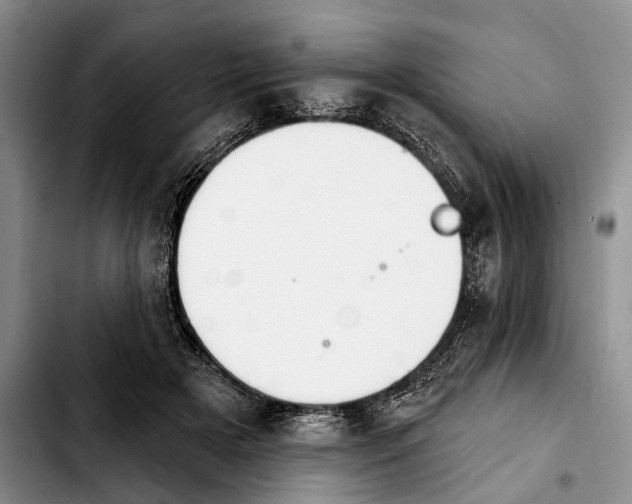 X0000103930505200810101356