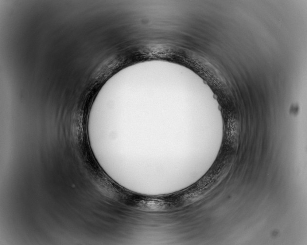 X0000103930506200810101356