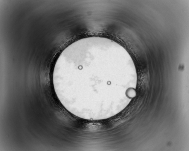 X0000103930508200810101356