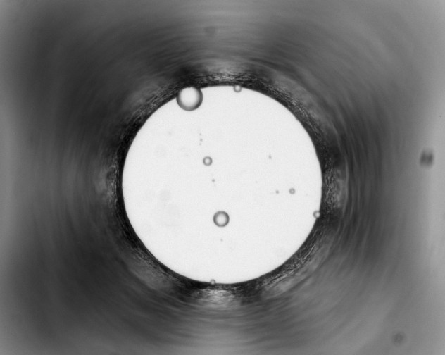 X0000103930509200810101356