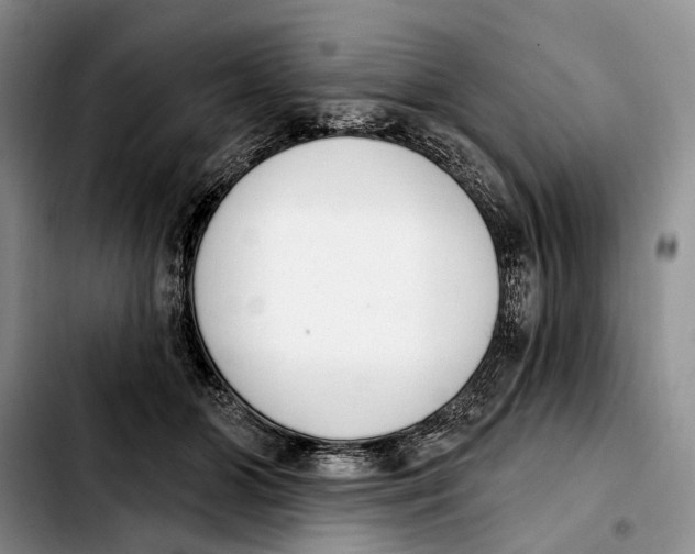 X0000103930510200810101356