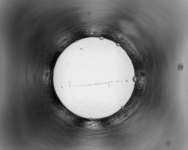 X0000103930511200810101356