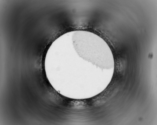 X0000103930512200810101356