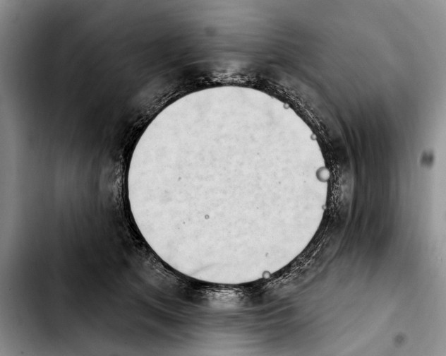 X0000103930513200810101356