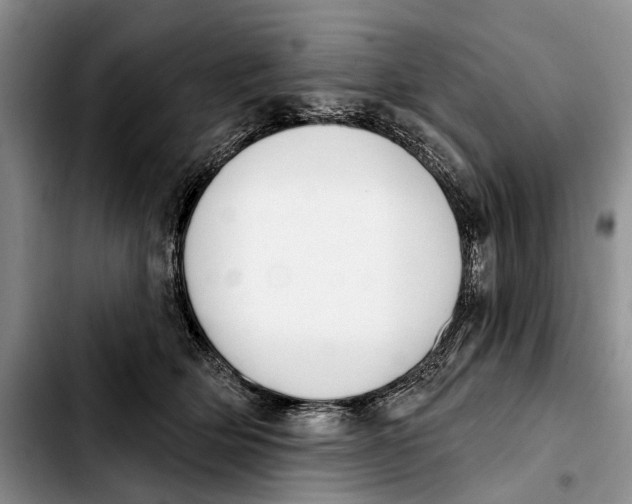 X0000103930514200810101356