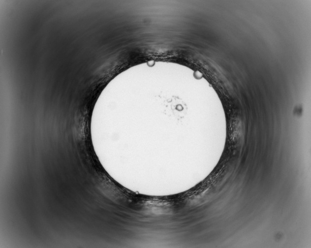 X0000103930515200810101356