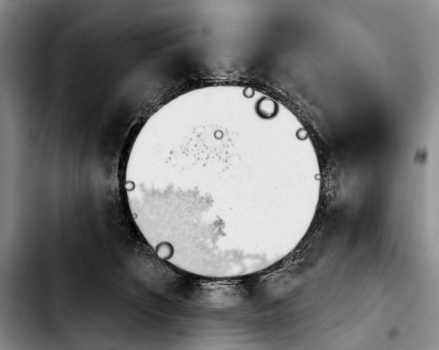 X0000103930516200810101356