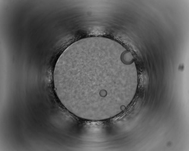 X0000103930517200810101356