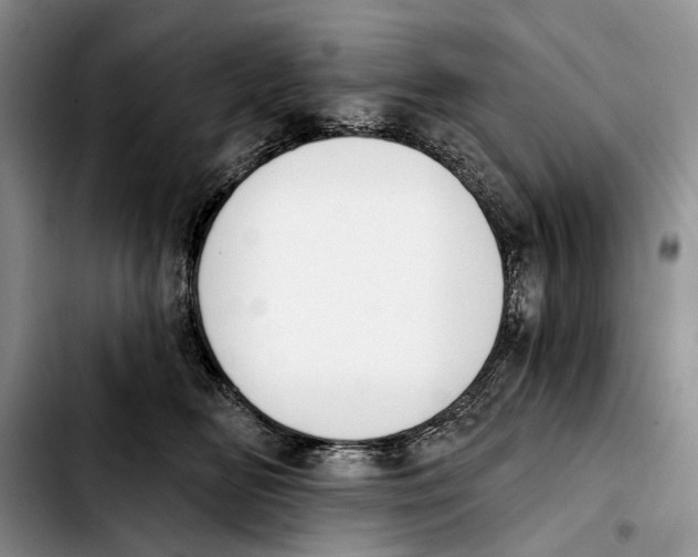 X0000103930518200810101356