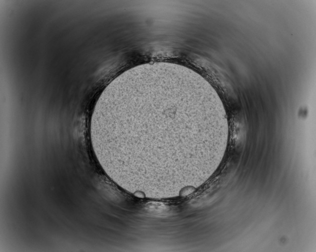 X0000103930519200810101356