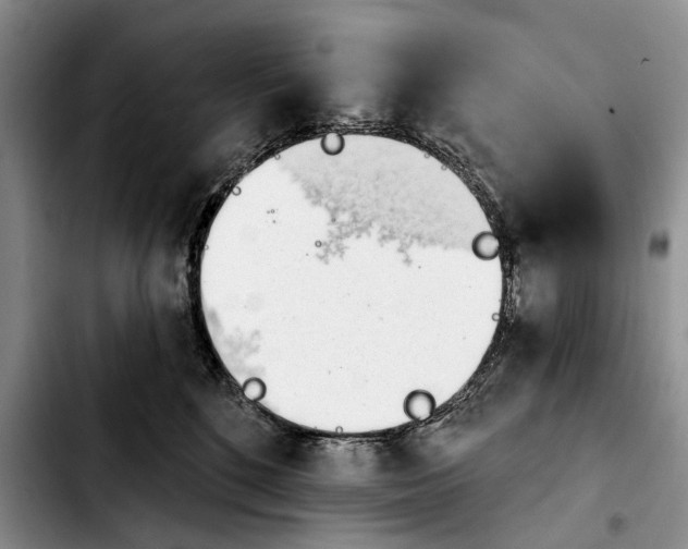 X0000103930520200810101356