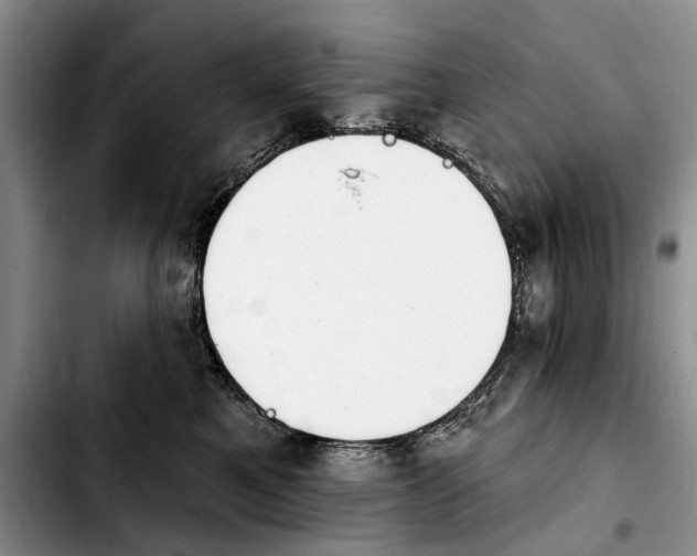 X0000103930521200810101356