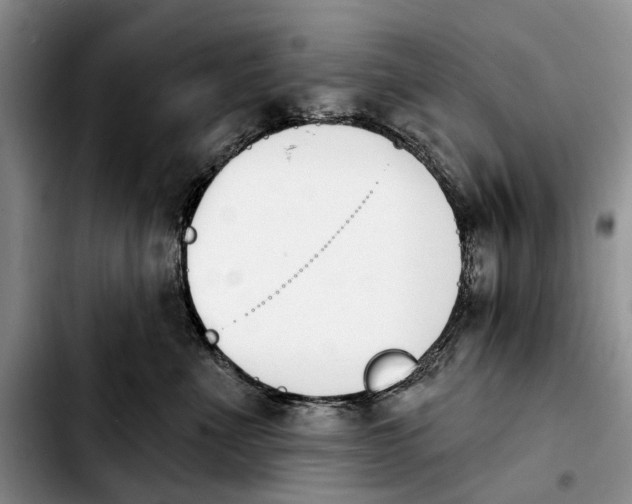 X0000103930523200810101356