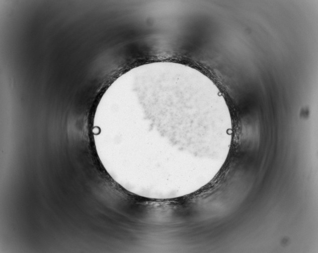 X0000103930524200810101356