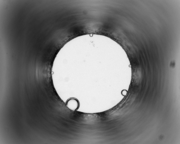 X0000103930525200810101356