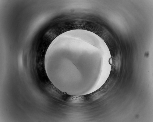 X0000103930526200810101356