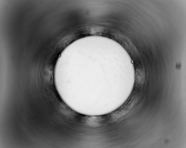 X0000103930527200810101356