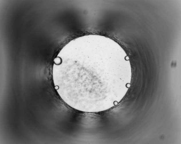 X0000103930528200810101356