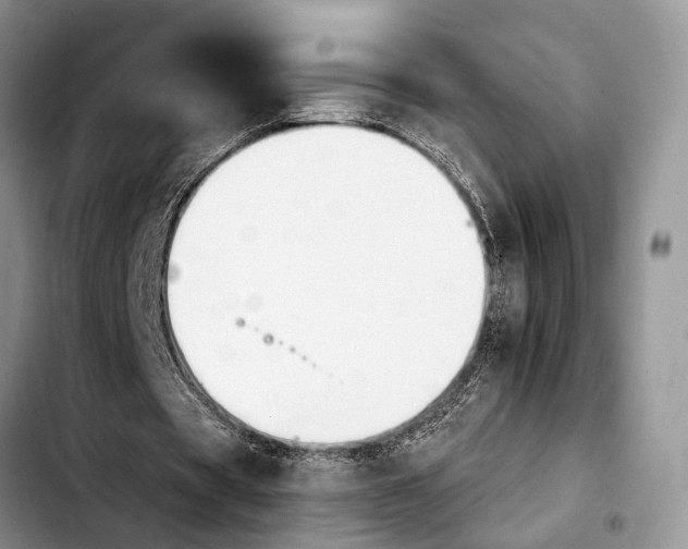 X0000103930529200810101355