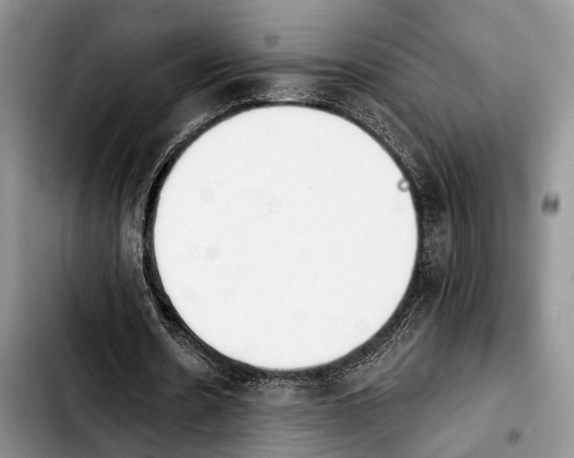 X0000103930530200810101355