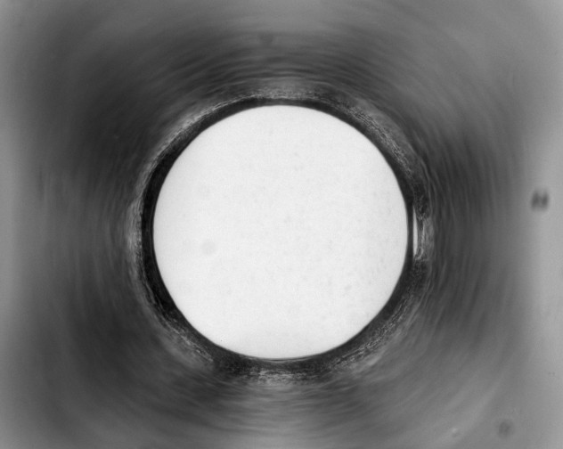 X0000103930531200810101355