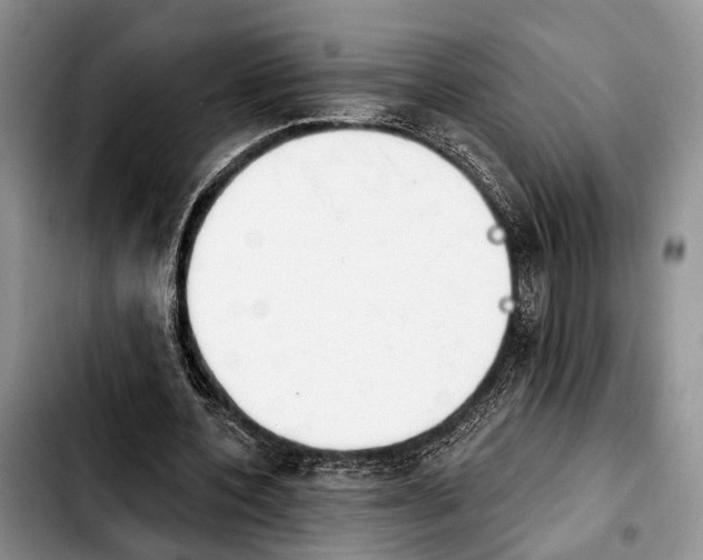 X0000103930532200810101355