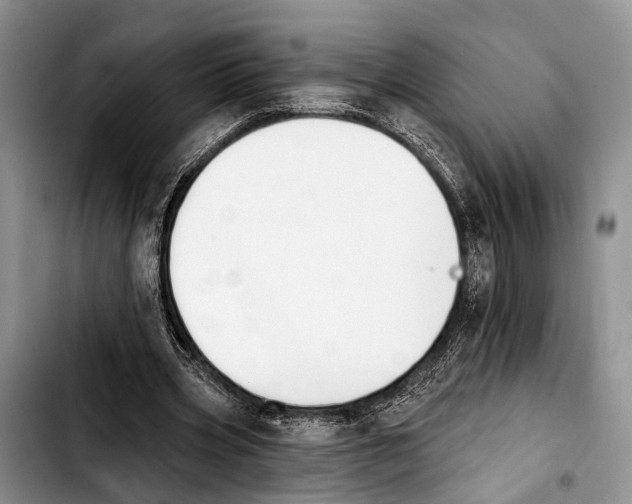 X0000103930533200810101355