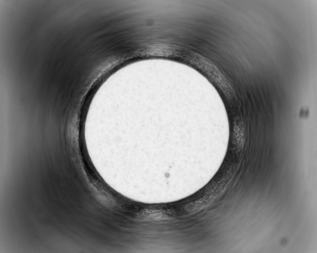 X0000103930534200810101355