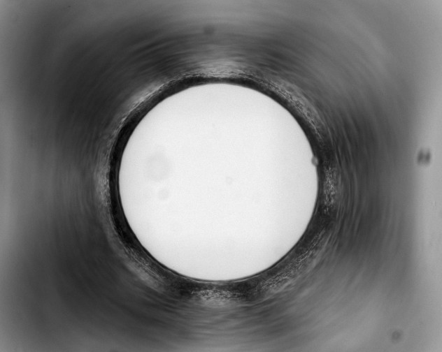 X0000103930535200810101355