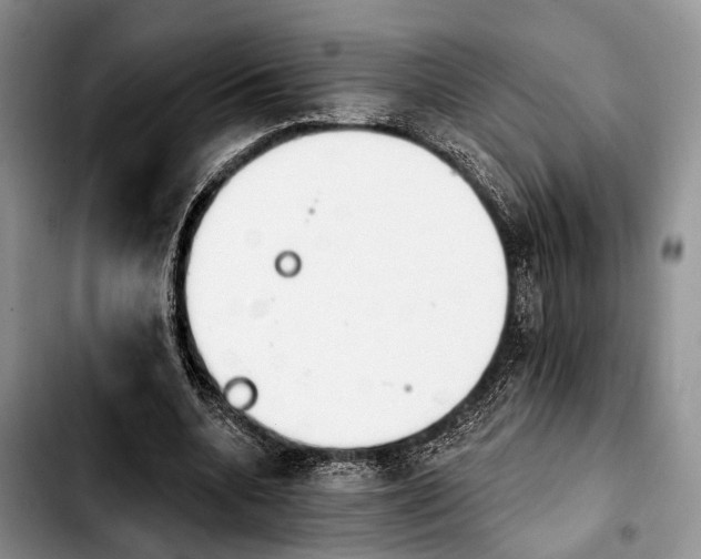 X0000103930536200810101355