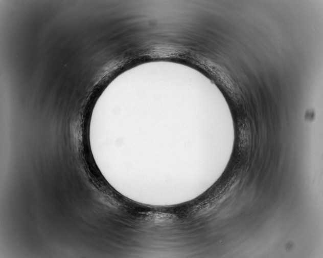 X0000103930539200810101355