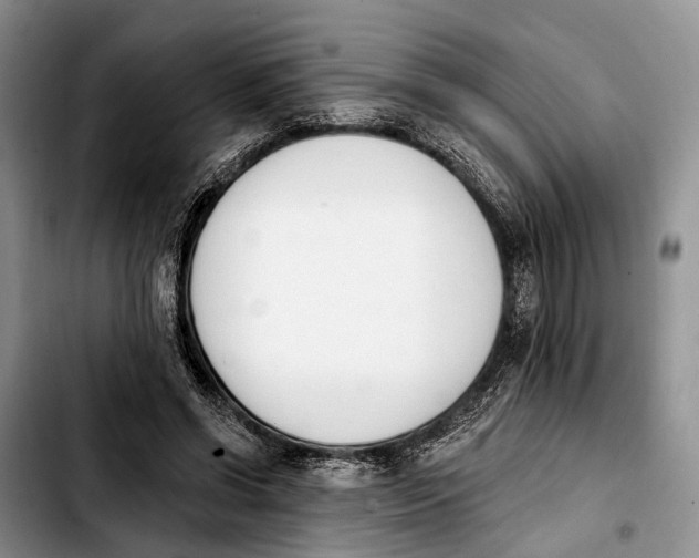 X0000103930542200810101355