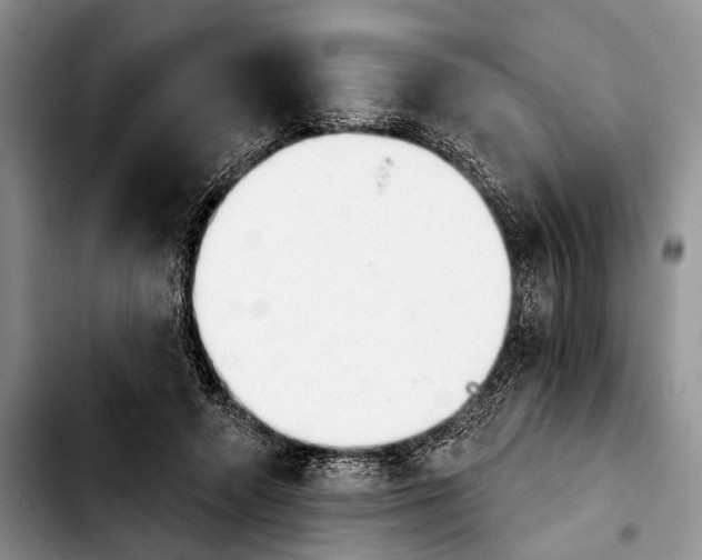 X0000103930546200810101355