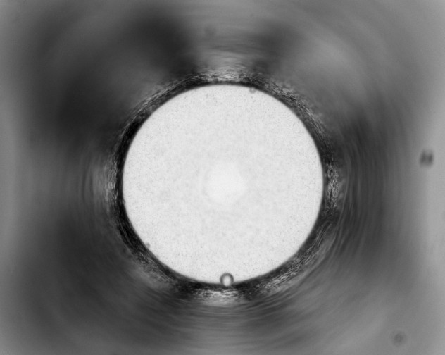 X0000103930548200810101355