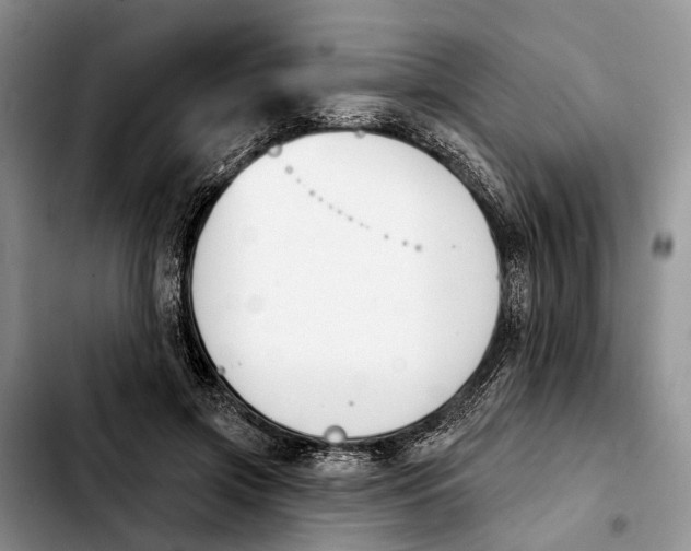 X0000103930549200810101355