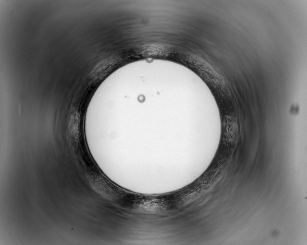 X0000103930550200810101355