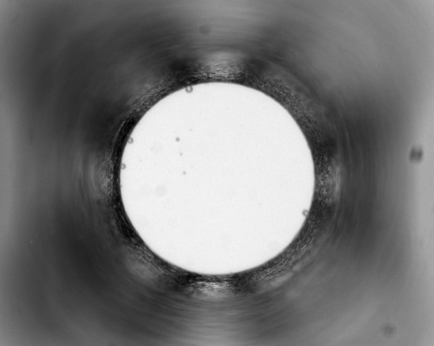 X0000103930552200810101355