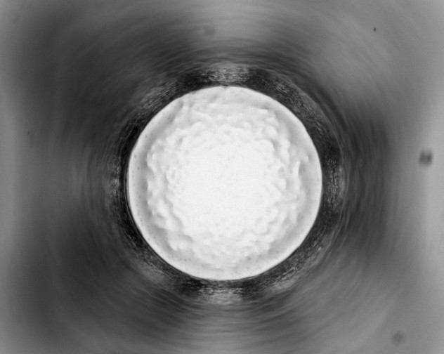 X0000103930553200810101355