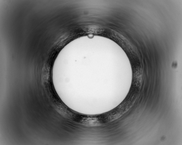 X0000103930554200810101356