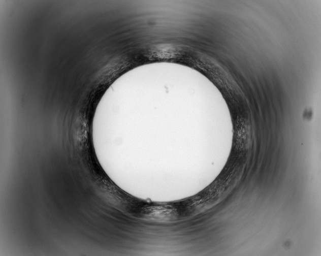 X0000103930555200810101356