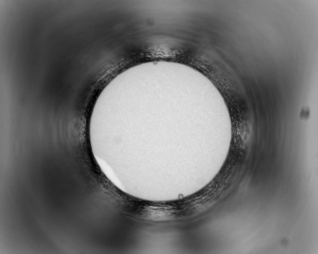 X0000103930556200810101356