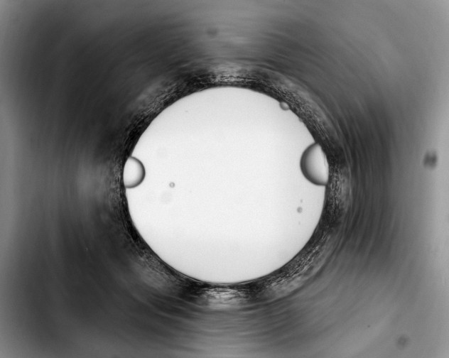 X0000103930557200810101356