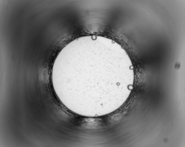 X0000103930558200810101356