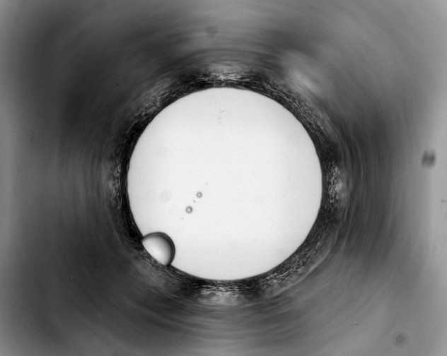 X0000103930559200810101356