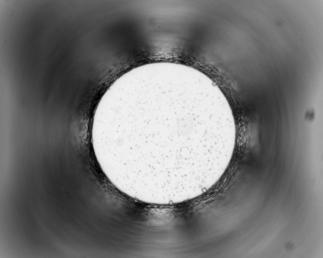 X0000103930560200810101356