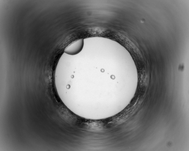 X0000103930561200810101356