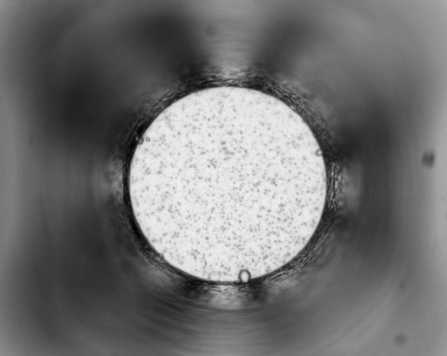 X0000103930562200810101356