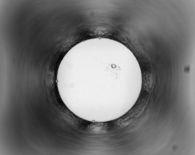 X0000103930563200810101356