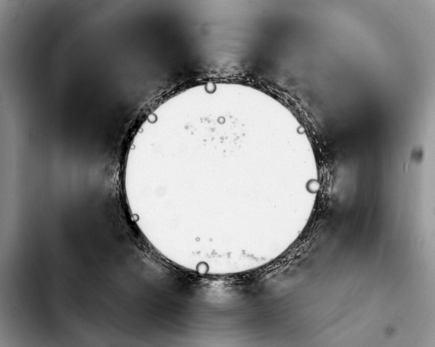 X0000103930564200810101356