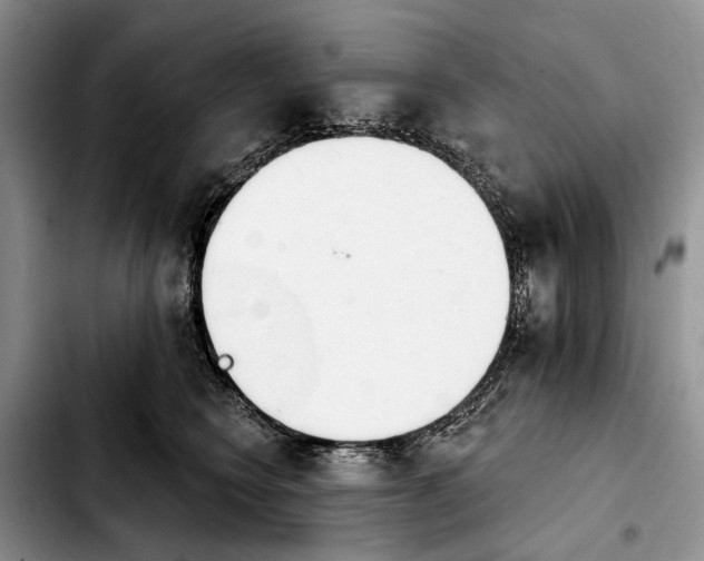 X0000103930566200810101356